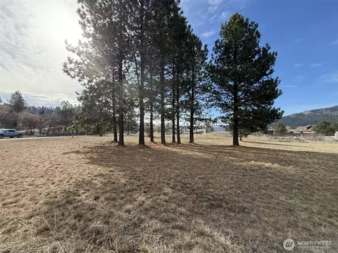 0 Lot 55 Heron Loop Rd, Republic, WA 99166 photo 11