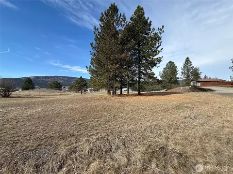 0 Lot 55 Heron Loop Rd, Republic, WA 99166 photo 9
