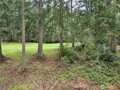 11005 Pioneer Dr, Anderson Island, WA 98303