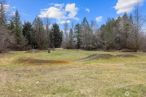 21 Drial Loop, Deming, WA 98244 photo 35