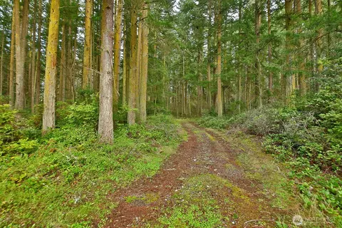 0 Nnn Mutiny Bay Rd, Freeland, WA 98249