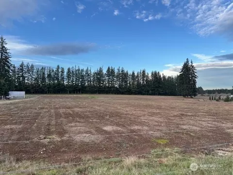 0 Lot 2 Brown Rd, Adna, WA 98532