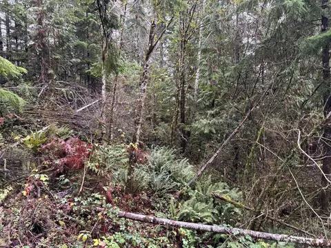 999 N Lake Cushman Dr, Hoodsport, WA 98548
