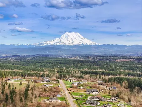 715 390th St S, Roy, WA 98580