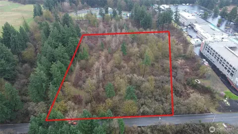 13036 188th Ave SW, Rochester, WA 98579