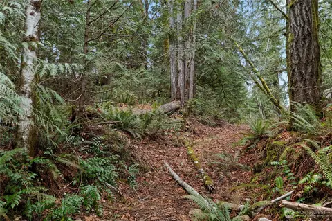 0 N Olympic Trails Dr, Lilliwaup, WA 98555