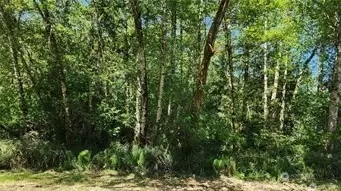 395 Sextans Ave SW, Ocean Shores, WA 98569