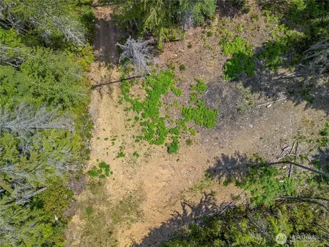 905 NE Tahuya Blacksmith Rd, Tahuya, WA 98588