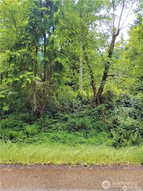 11909 11911 Country Club Dr, Anderson Island, WA 98303