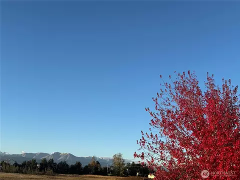Other - 73 Cobb Cir, Sequim, WA 98382 photo 8 of 14