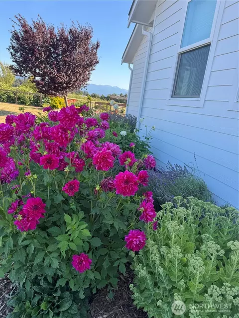 Exterior - 73 Cobb Cir, Sequim, WA 98382 photo 5 of 14