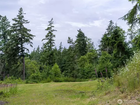 540 Wright Rd, Orcas Island, WA 98245 photo 21
