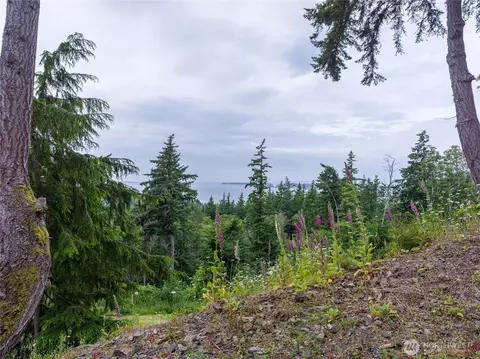 540 Wright Rd, Orcas Island, WA 98245 photo 25