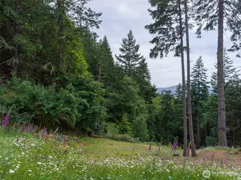 540 Wright Rd, Orcas Island, WA 98245 photo 23