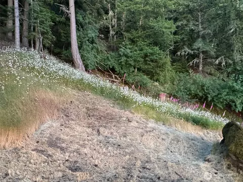 540 Wright Rd, Orcas Island, WA 98245 photo 35