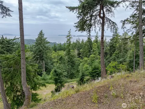 540 Wright Rd, Orcas Island, WA 98245