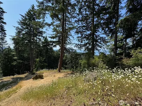 540 Wright Rd, Orcas Island, WA 98245 photo 31
