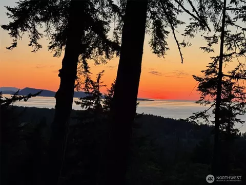 540 Wright Rd, Orcas Island, WA 98245 photo 38