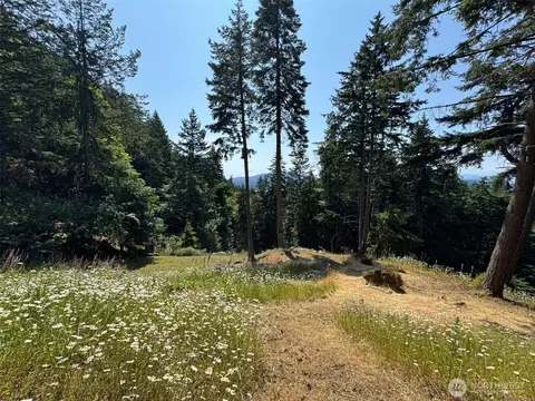 540 Wright Rd, Orcas Island, WA 98245 photo 32