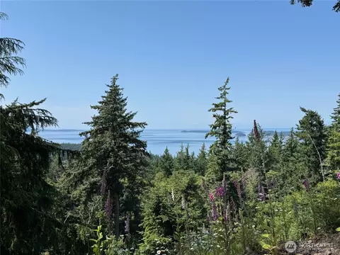 540 Wright Rd, Orcas Island, WA 98245 photo 30