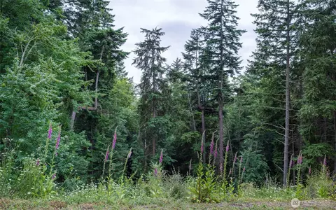 540 Wright Rd, Orcas Island, WA 98245 photo 15