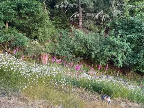 540 Wright Rd, Orcas Island, WA 98245 photo 33