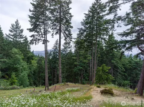 540 Wright Rd, Orcas Island, WA 98245 photo 24