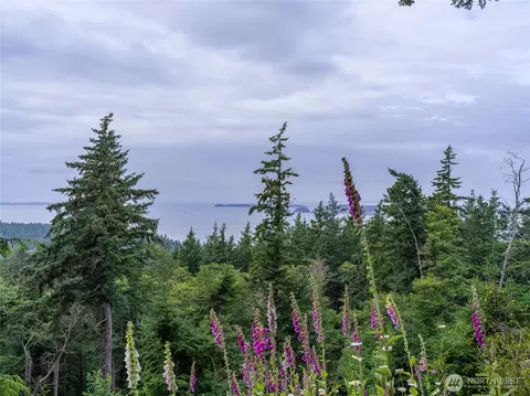 540 Wright Rd, Orcas Island, WA 98245 photo 26
