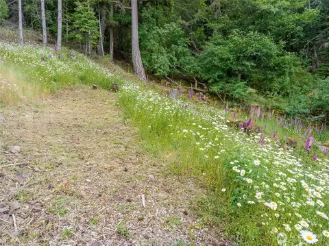 540 Wright Rd, Orcas Island, WA 98245 photo 27