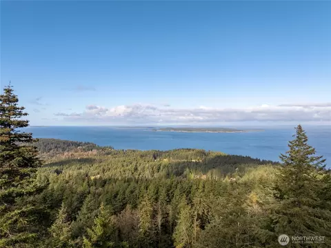 540 Wright Rd, Orcas Island, WA 98245 photo 40