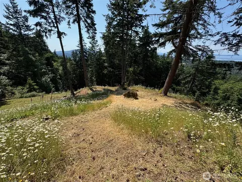 540 Wright Rd, Orcas Island, WA 98245 photo 34