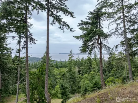 540 Wright Rd, Orcas Island, WA 98245 photo 13