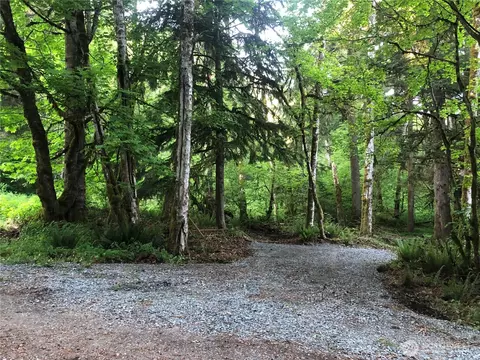 31704 Mount Tahoma Canyon Rd, Ashford, WA 98304