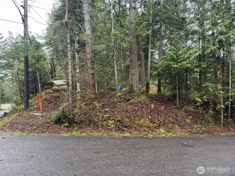 11 Bayview Ct, Brinnon, WA 98320