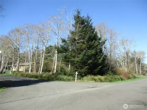 301 Olympic Vw, Ocean Shores, WA 98569
