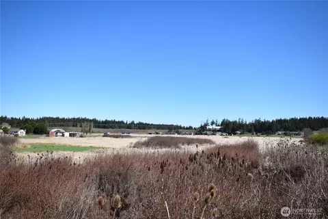 260 Secluded Way, Sequim, WA 98382 photo 28