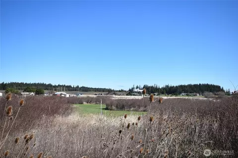260 Secluded Way, Sequim, WA 98382 photo 27