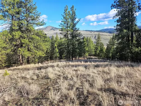 380 Lot Chopaka Tbd Rd, Tonasket, WA 98855