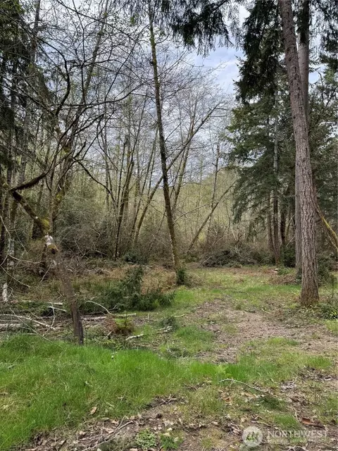 8914 130th Avenue Ct, Anderson Island, WA 98303