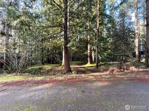 101 N Duckabush Loop W, Hoodsport, WA 98548