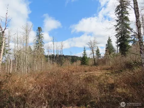 125 Oppelt Rd, Chehalis, WA 98532