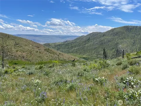 436 Antoine Creek Rd #LOT E, Chelan, WA 98816