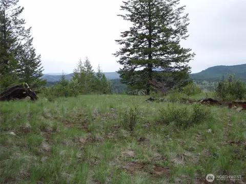 0 Edgewood Ln, Curlew, WA 99118