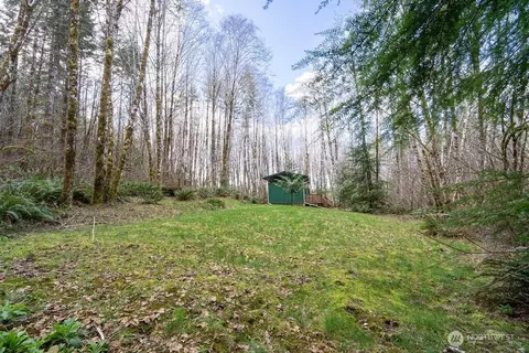 50 Raspberry Rd, Elma, WA 98541 photo 20