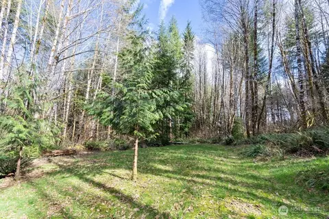 50 Raspberry Rd, Elma, WA 98541 photo 18