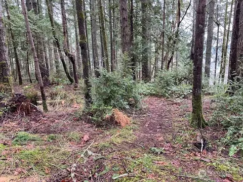 0 Bear St, Shelton, WA 98584