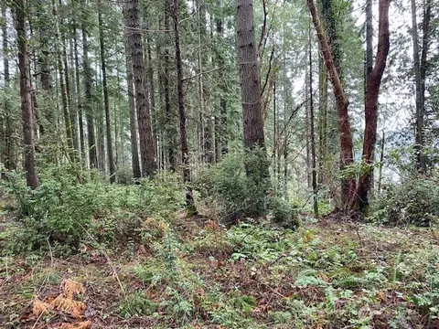 0 Elk St, Shelton, WA 98584