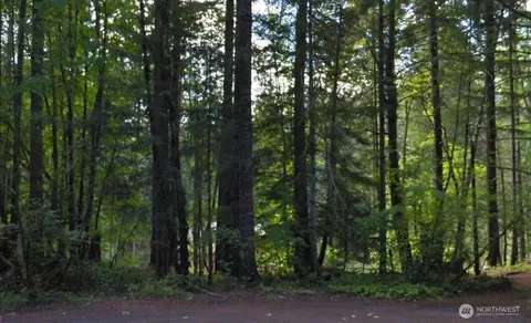 0 Cottonwood Rd, Packwood, WA 98361