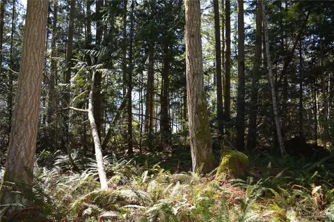 999 E Sequim Bay Rd, Sequim, WA 98382 photo 7