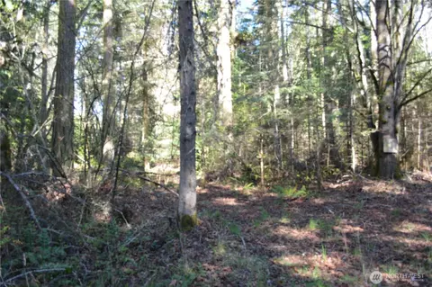 999 E Sequim Bay Rd, Sequim, WA 98382 photo 9